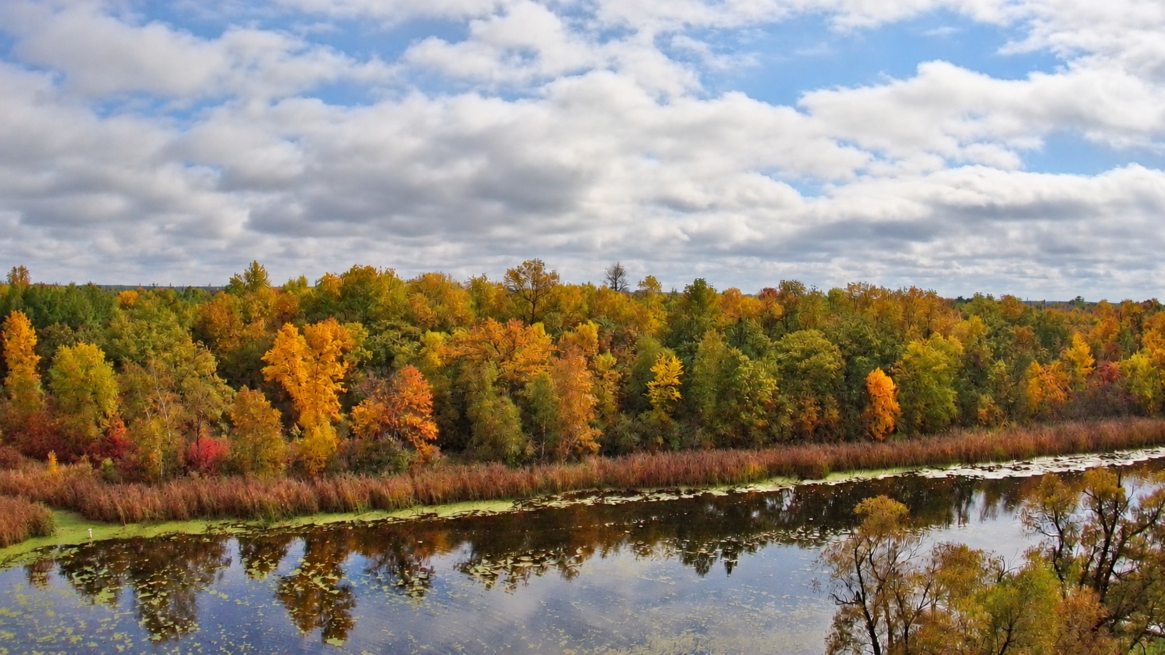 Fall color along the water at Big Bog