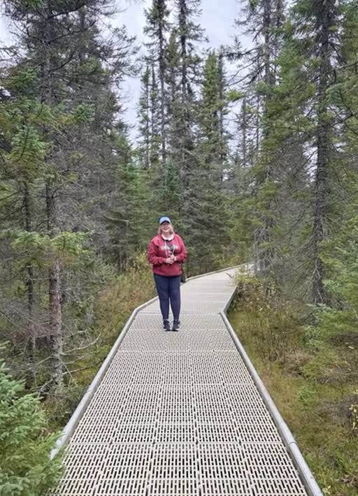 The boardwalk stretching into the Big Bog landscape