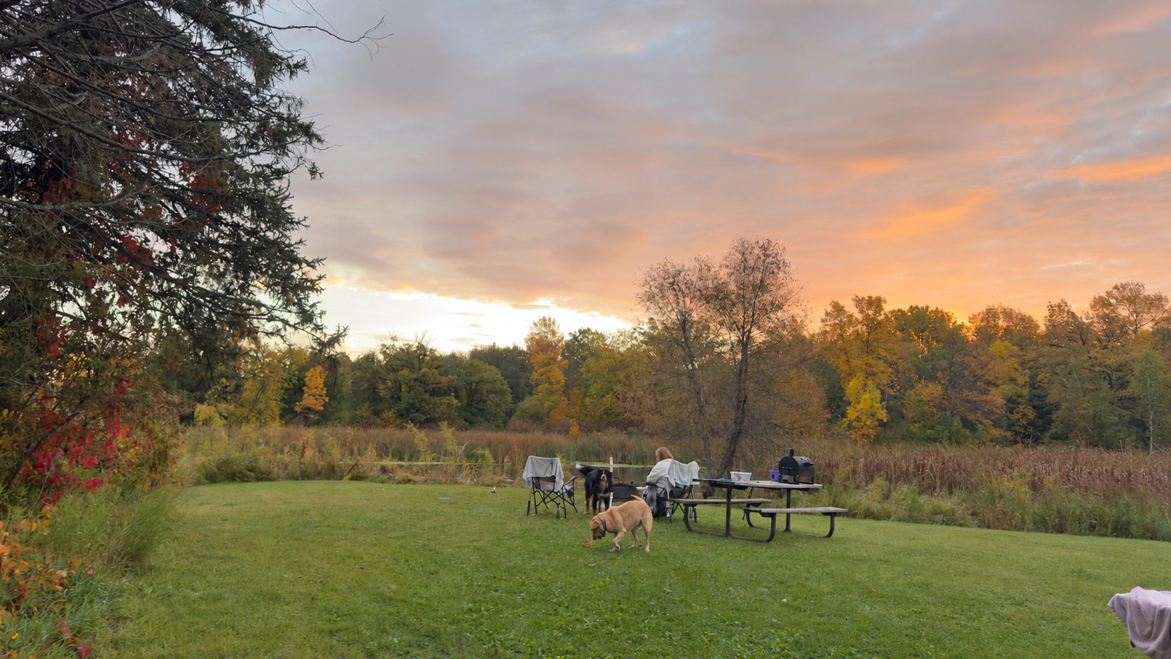 Maureen and the dogs at camp beneath a soft peach morning sky